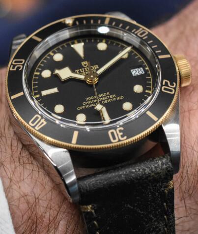 Tudor BLACK BAY S&G M79733N-0007 Replica Watch